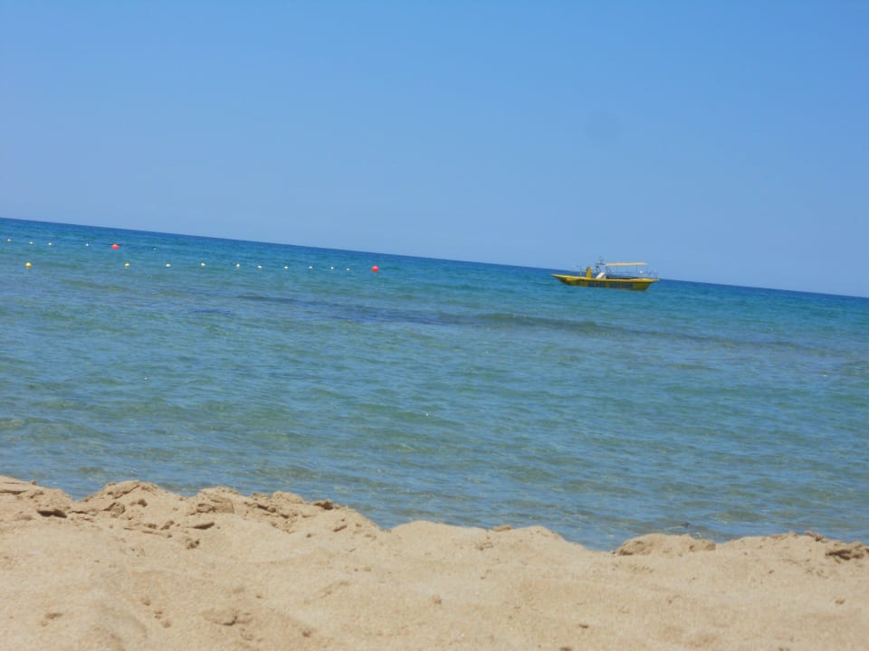 Weitblick Cactus Beach