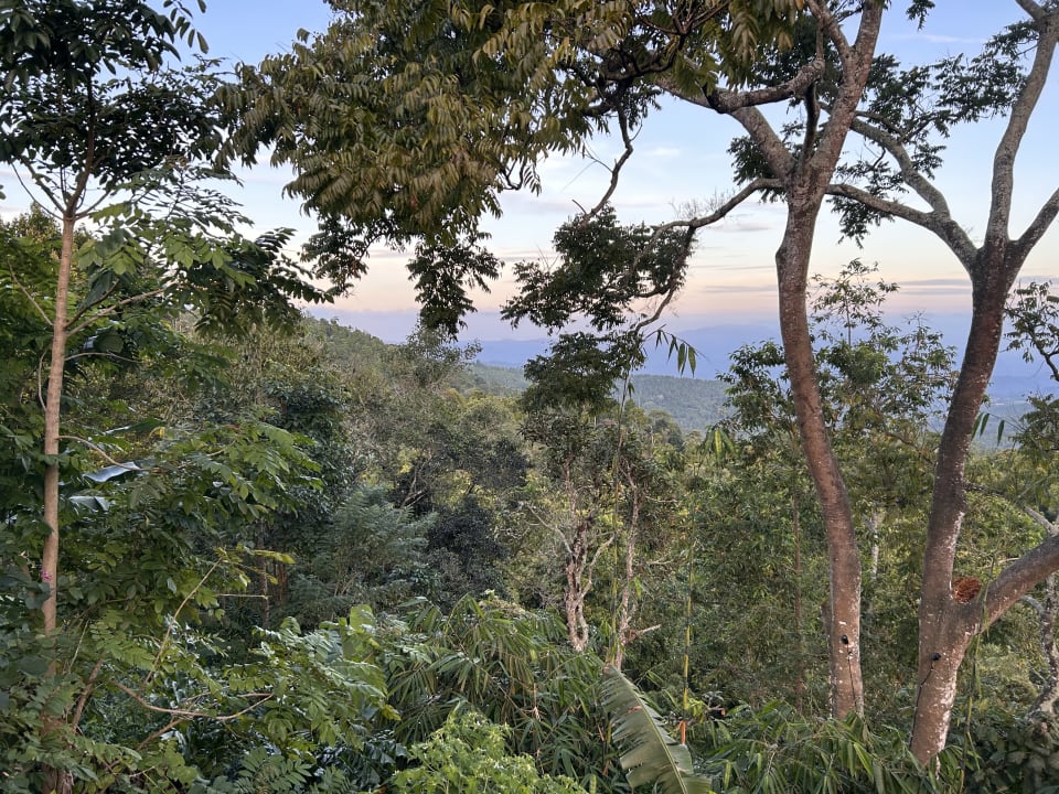 Ausblick Munduk Cabins