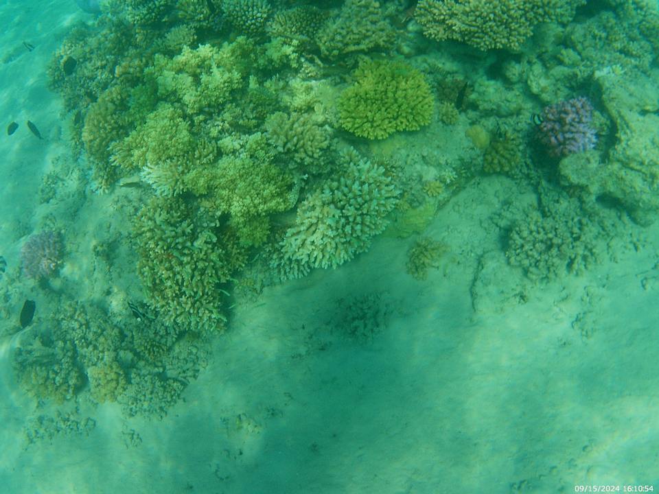 Strand The V Luxury Resort Sahl Hasheesh