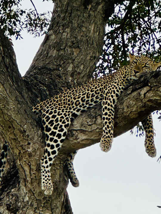 Sport & Freizeit Sabi Sabi Bush Lodge