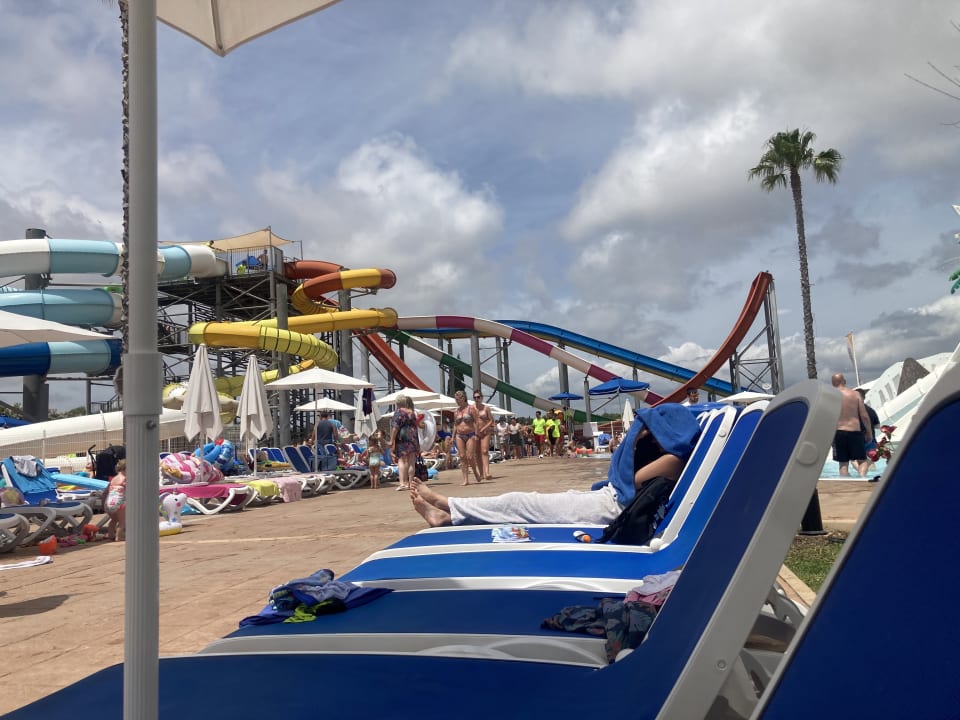 Sport & Freizeit Globales Bouganvilla