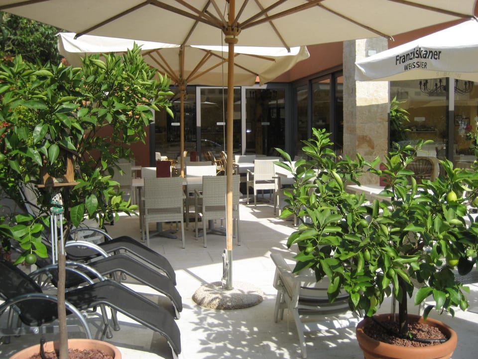 Time to Relax Hotel Al Caminetto