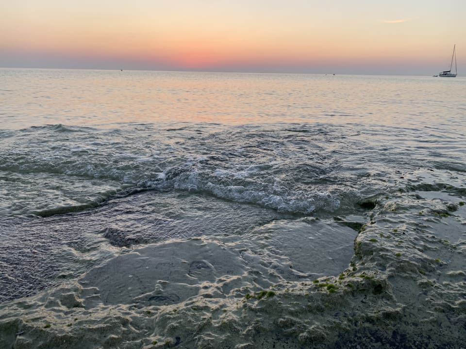Strand Hipotels Hipocampo Playa