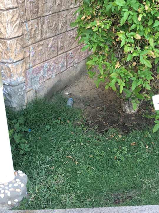 Gartenanlage Hotel Titanic Palace