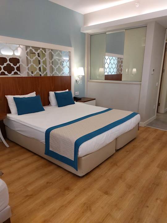 Zimmer Seashell Vega