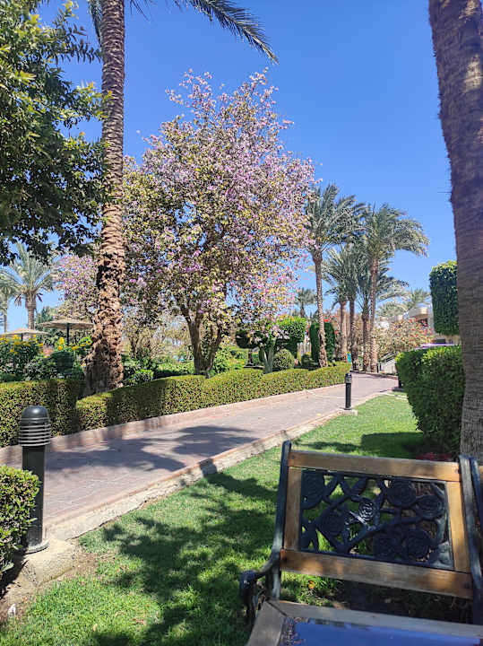 Gartenanlage Golden Beach Resort