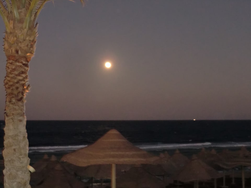 Strand Serenity Alpha Beach