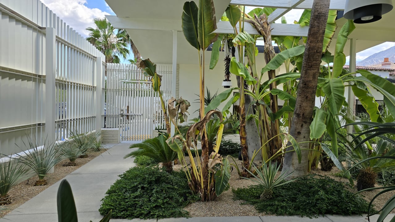 Gartenanlage Hotel Azure Sky Resort