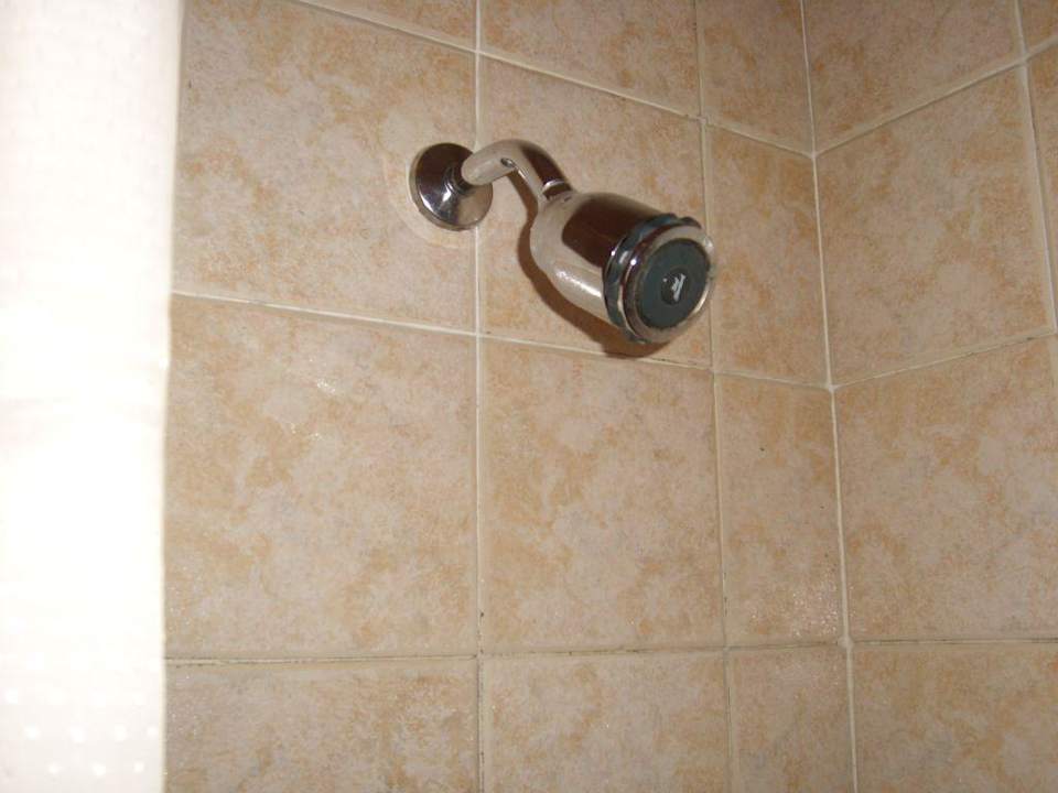 Duschkopf fest montiert bei 1,70m Ghazala Gardens