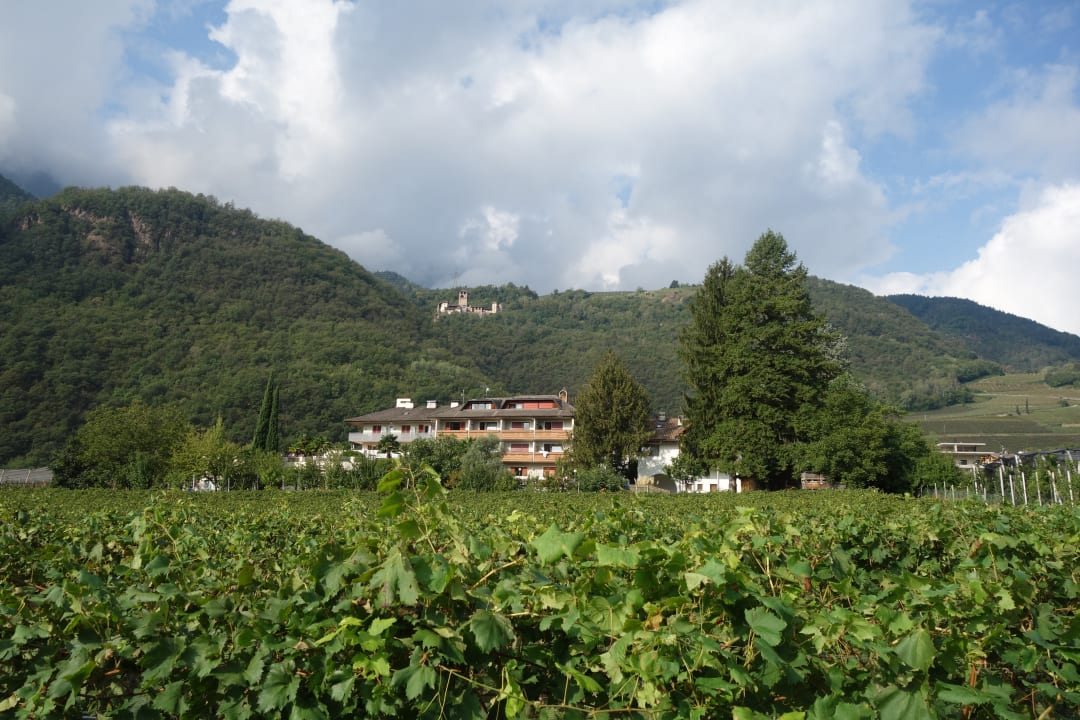 Außenansicht Gardenhotel Wilma