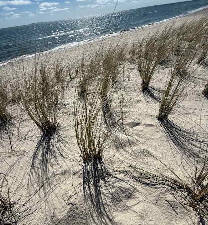Strand Santé Royale Rügen Resort