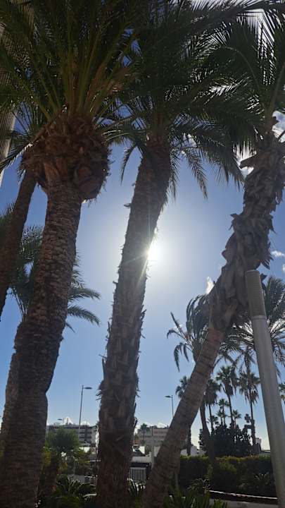 Außenansicht Gran Canaria Princess