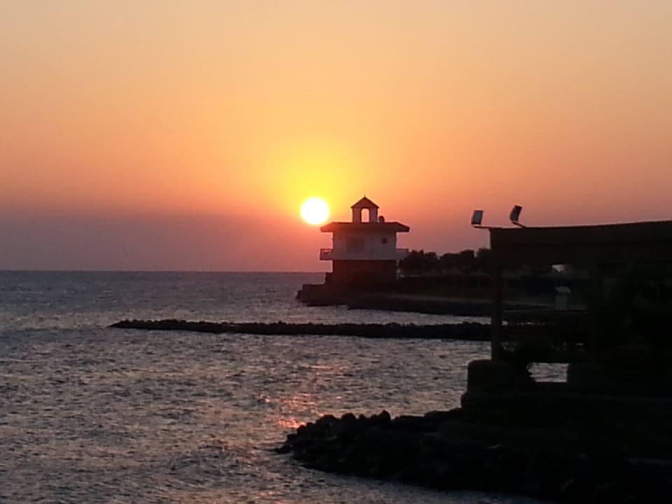 Sonnenaufgang Desert Rose