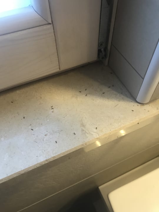 Zimmer TUI BLUE Tropea