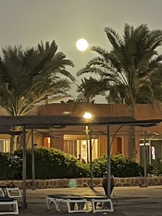 Gartenanlage Malikia Resort Abu Dabbab