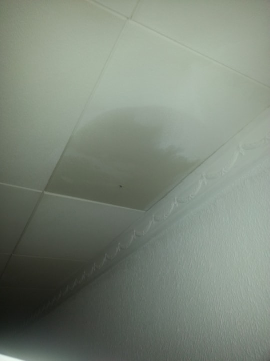 Sonstiges BLUESEA Costa Bastian