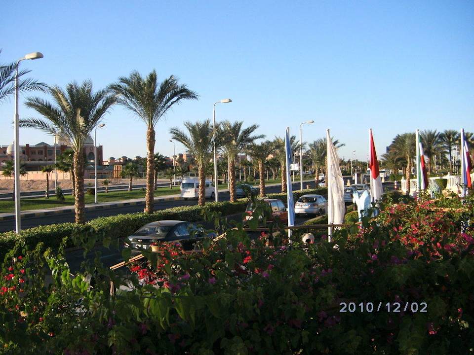 Ausblick vorm Hotel  Pickalbatros Palace Resort