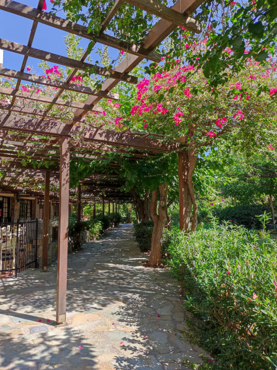 Außenansicht Apollonia Beach Resort & Spa