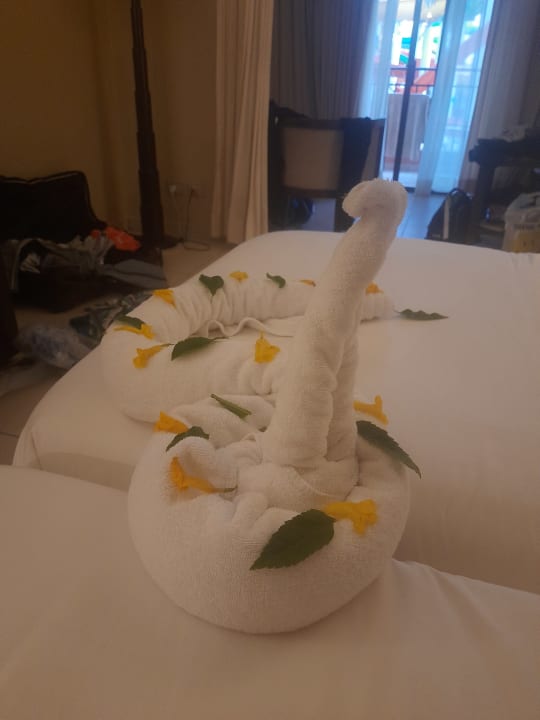 Zimmer Jaz Dar EL Madina