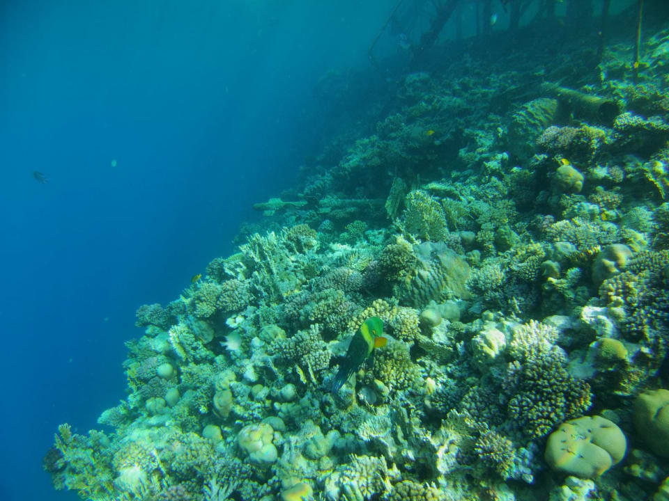 Sport & Freizeit Serenity Alpha Beach