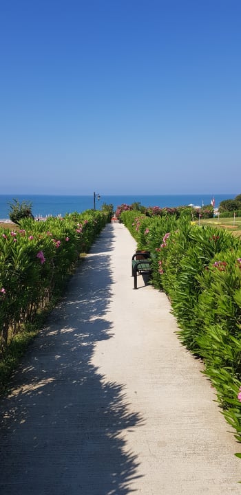 Gartenanlage Alba Queen Hotel