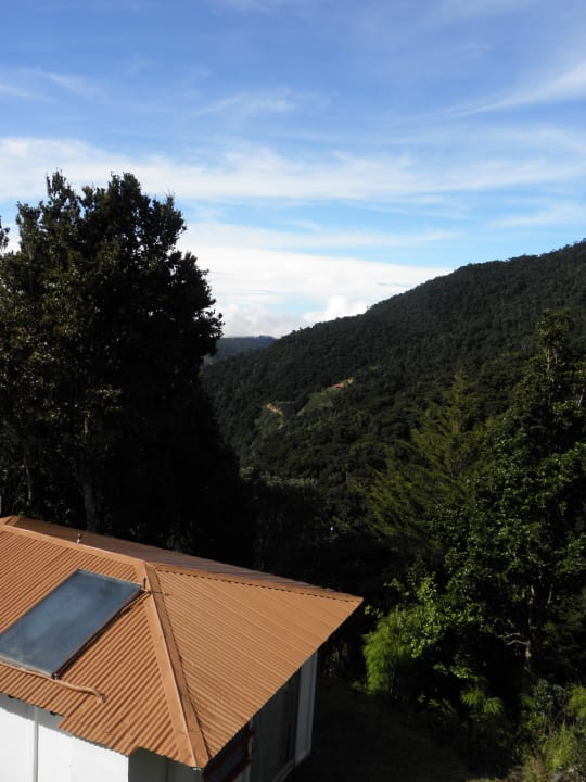 Blick über die Anlage  Dantica Cloud Forest Lodge