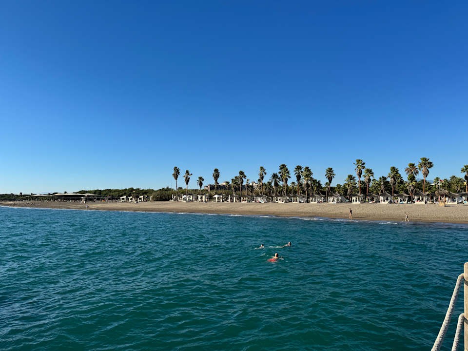 Strand ROBINSON NOBILIS