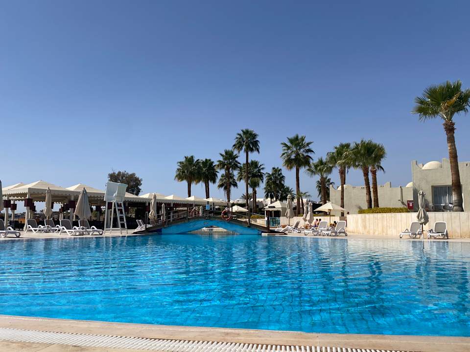 Pool Reef Oasis Beach Resort