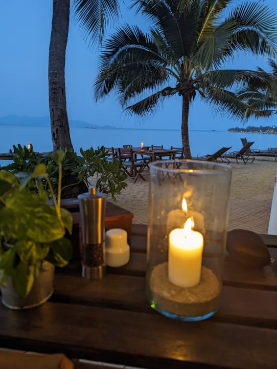 Gastro Paradise Beach Resort, Samui