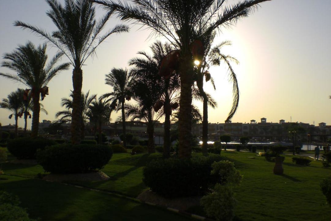 Gartenanlage Pickalbatros Dana Beach Resort - Hurghada