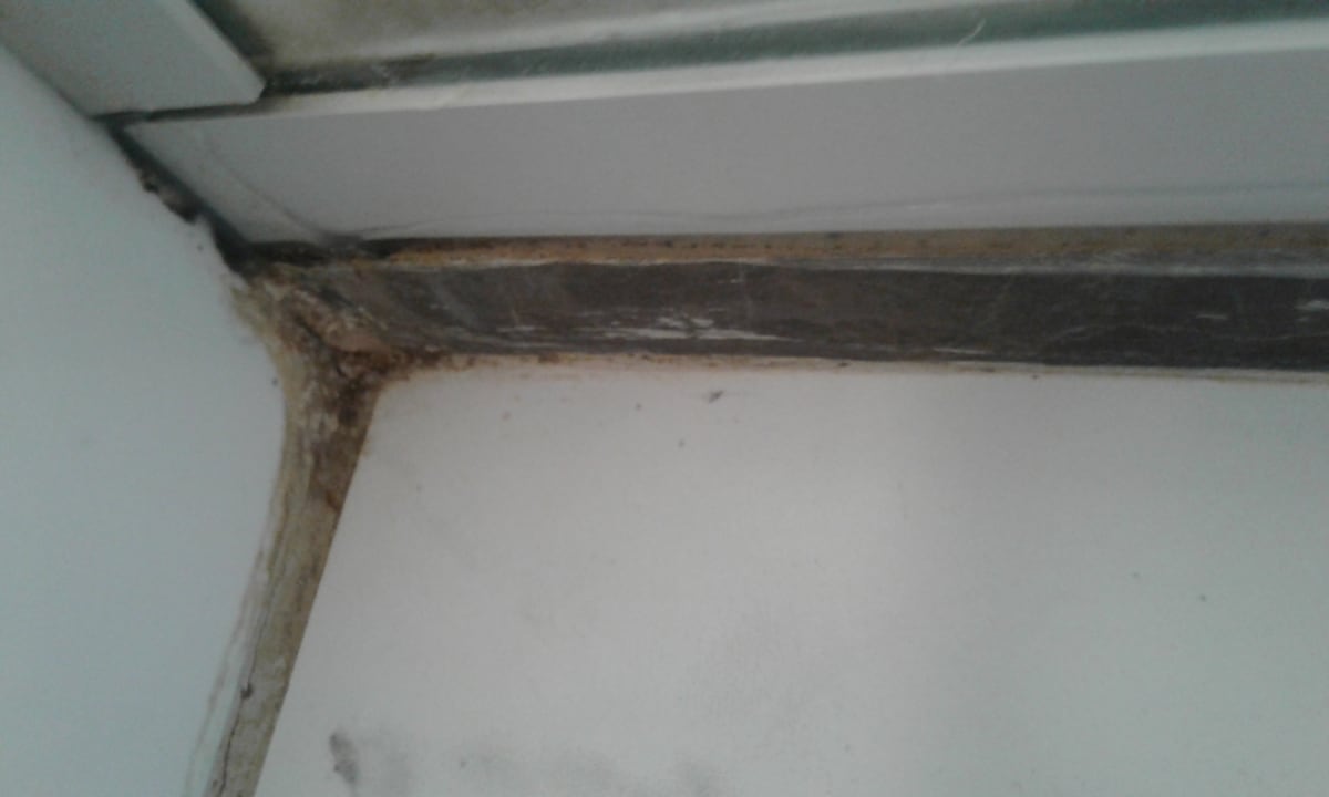 Zimmer Hotel Orfeus Park