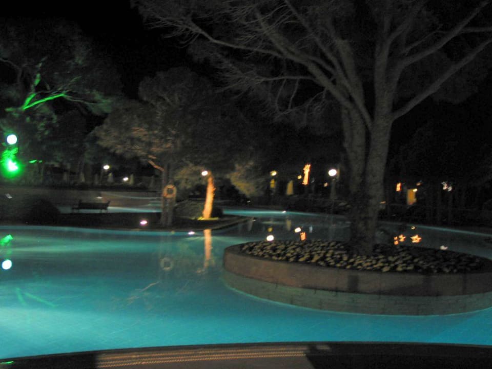 Pool am Abend Papillon Ayscha