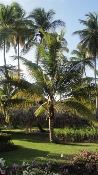 Palladium Resort TRS Turquesa Hotel - Adults only