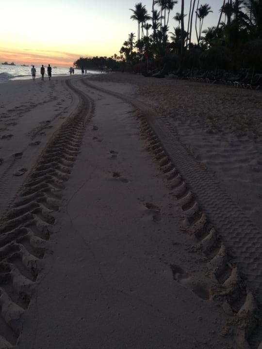 Strand Grand Palladium Punta Cana Resort & Spa