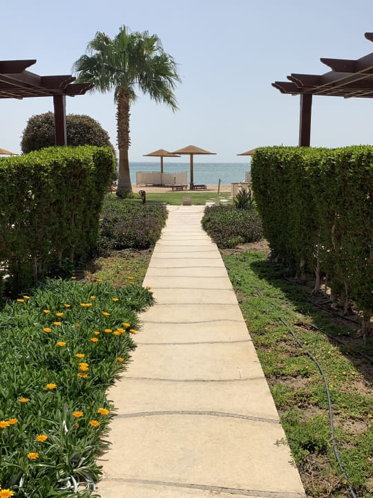 Strand Shams Prestige Abu Soma-Adults Only