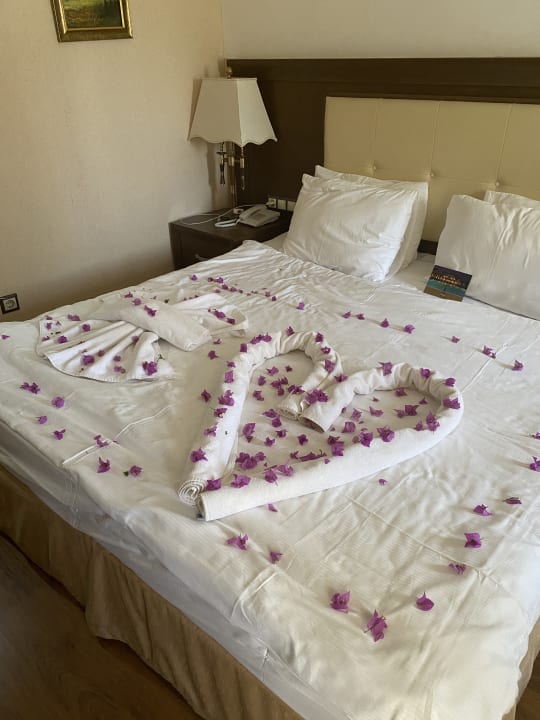 Zimmer Latanya Park Resort