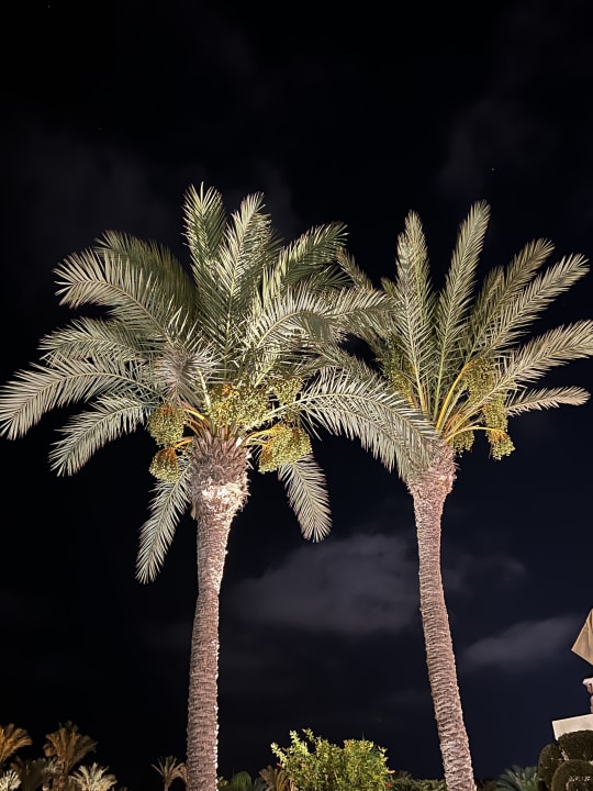 Gartenanlage Iberostar Selection Royal El Mansour