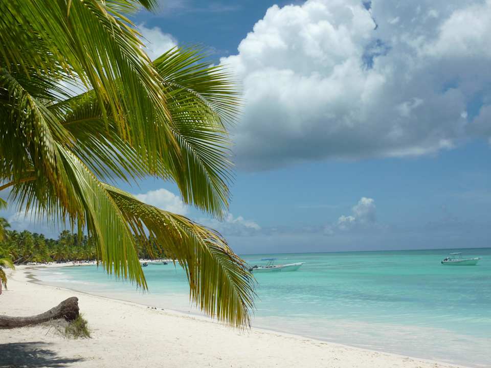 Insel Saona Ausflug Punta Cana Princess All Suites Resort & Spa