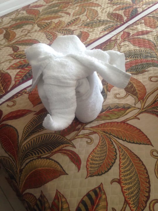 Immer süße Tierchen auf dem Bett Sandos Playacar Beach Resort