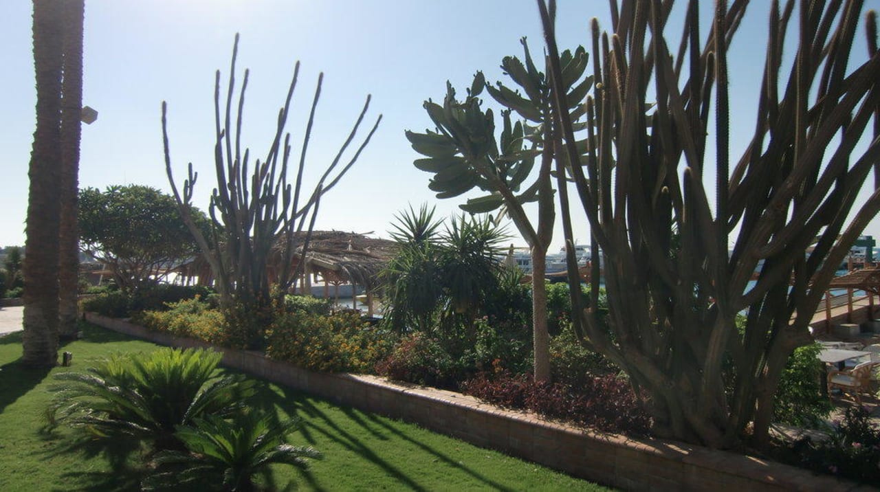 Gepflegte Rabatten säumen den Strand Marriott Hurghada Beach Resort