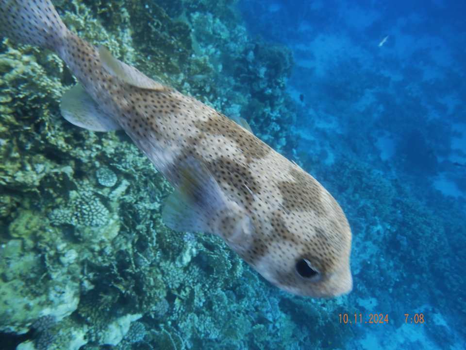 Strand Casa Mare Resort