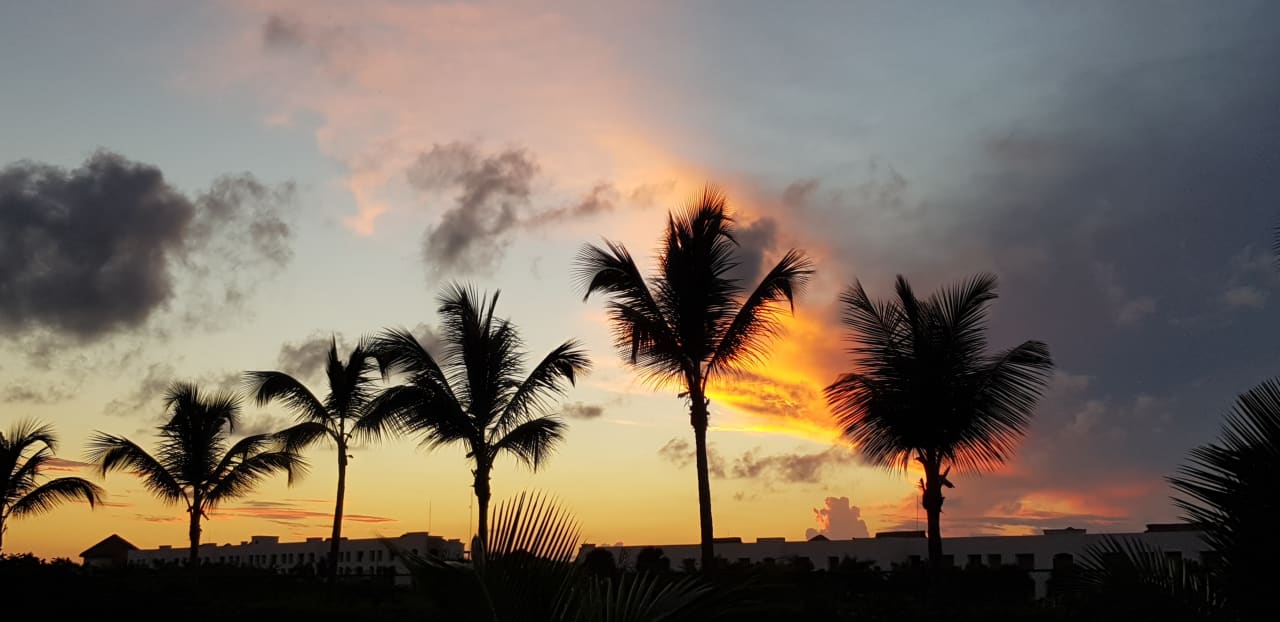 Ausblick Hotel Riu Republica - Adults only