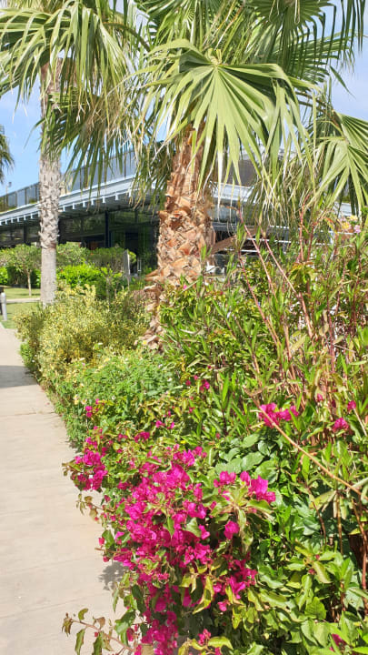 Gartenanlage Saturn Palace Resort Hotel