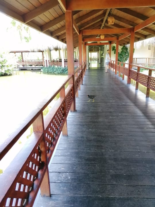 Sonstiges Grand Palladium Select Bávaro Resort & Spa