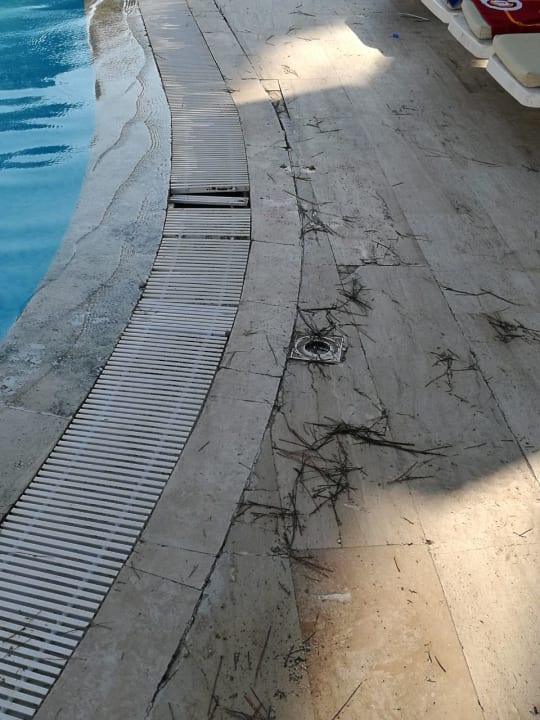 Pool Asteria Collection Side