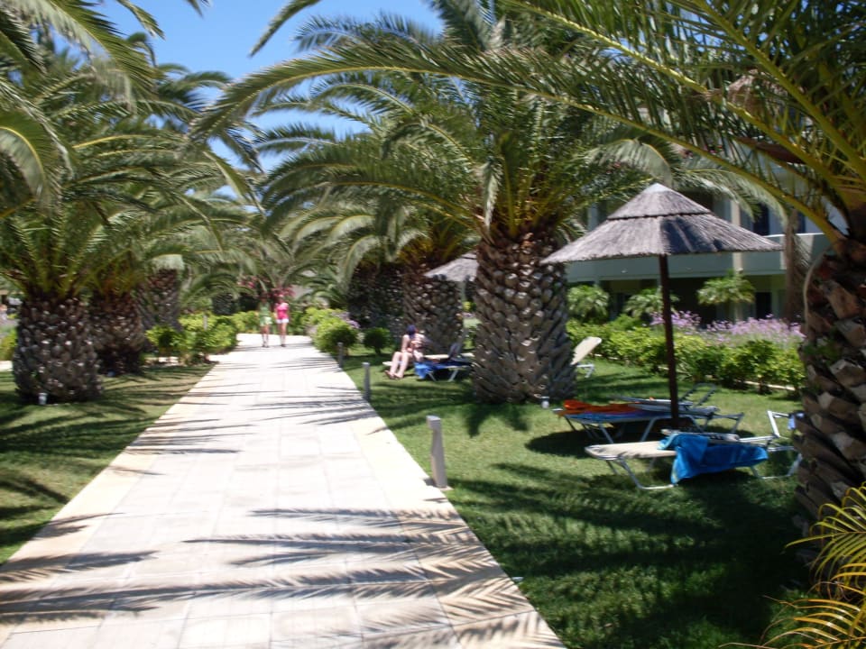 Liegefläche Sandy Beach Hotel & Family Suites