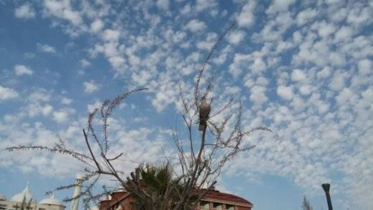 Schöne Wölkchen  Royal Taj Mahal Hotel