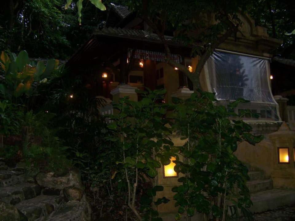 In den Dschungel eingebettet Moracea by Khao Lak Resort