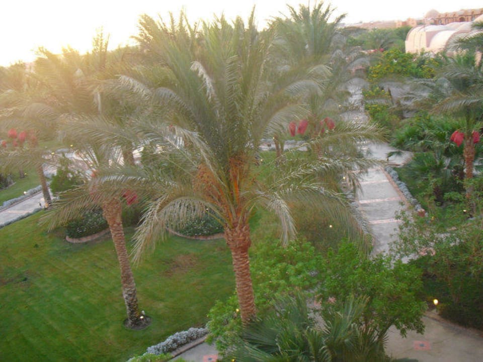 Das ist der Ausblick aus unserem Zimmer gewesen  Jaz Makadi Oasis Resort