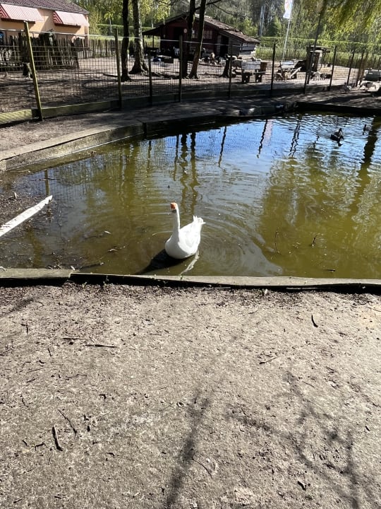 Sport & Freizeit Oostappen Vakantiepark Marina Beach